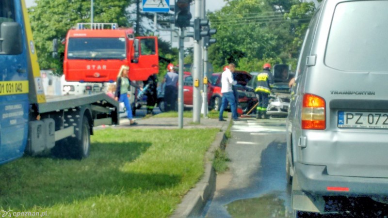 fot. Krzysztof B./czytelnik