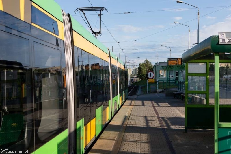 fot. ZTM Poznań