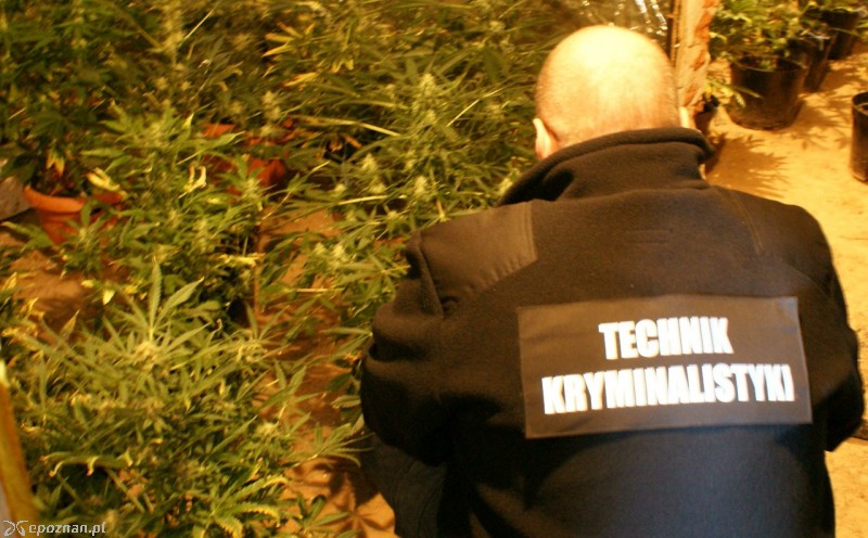 fot. Policja