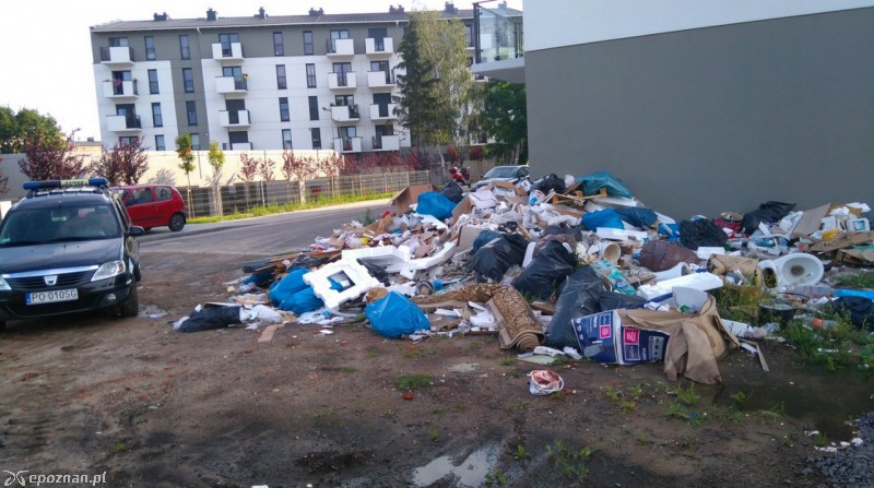 fot. Straż miejska