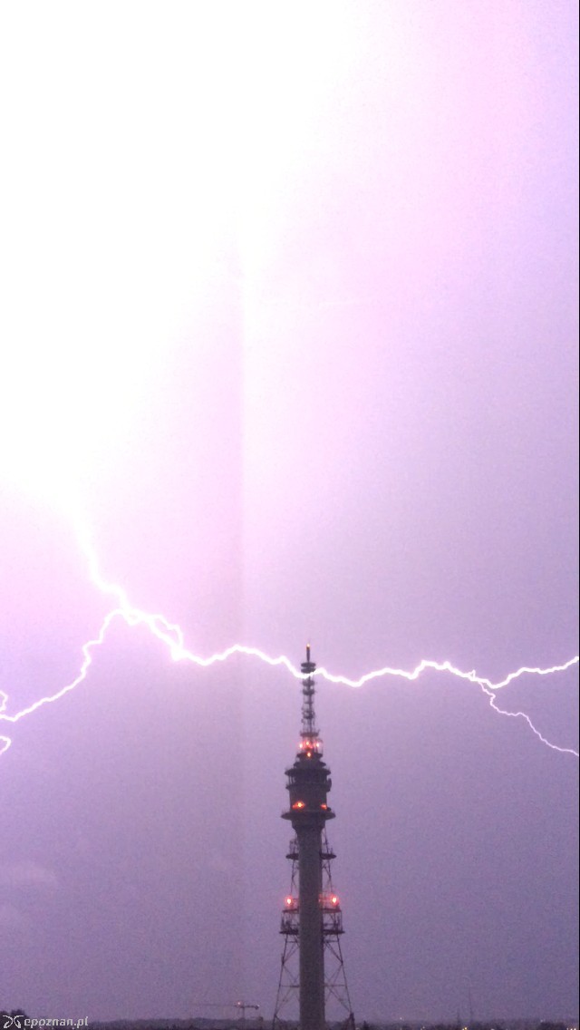 fot. Adrian