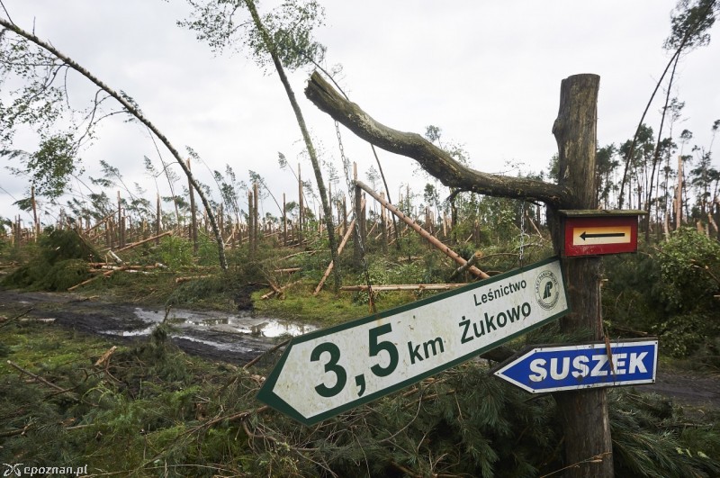 Okolica zniszczonego obozu harcerskiego, w którym zginęły dwie harcerki | fot. Dominik Kulaszewicz/PAP