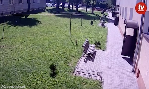 fot. jarocinska.pl/screenshot