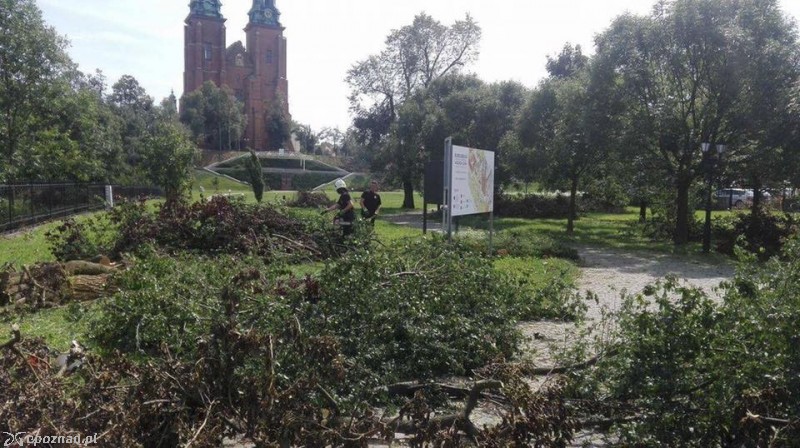 Wciąż trwa porządkowanie Gniezna | fot. OSP Trzemeszno