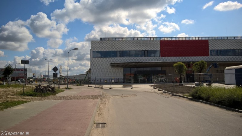 fot. Maciej