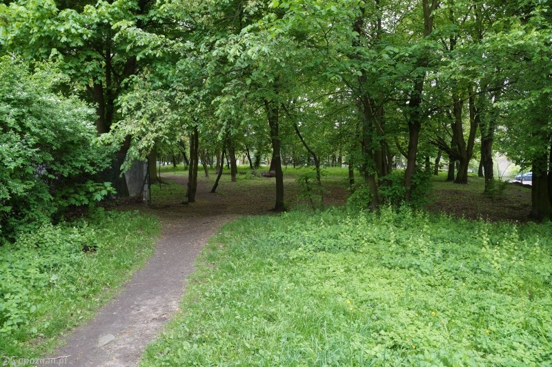 fot. Paweł
