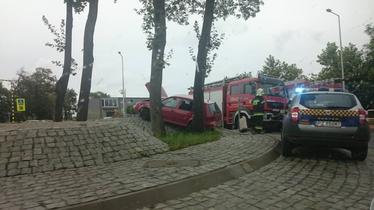 fot. Janusz