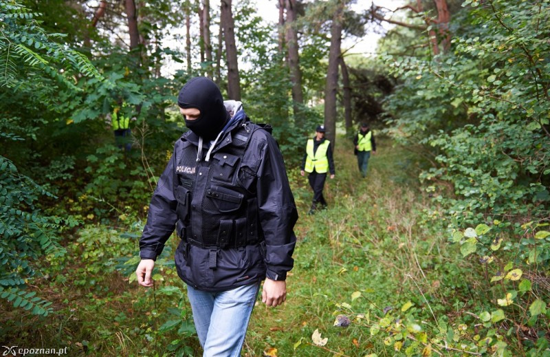 Przeszukanie nadmorskiego parku w poszukiwaniu śladów zaginionej | fot. Adam Warżawa/PAP