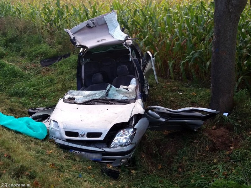 fot. KPP Grodzisk Wielkopolski