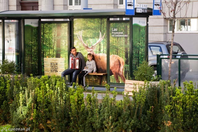 fot. materiały prasowe