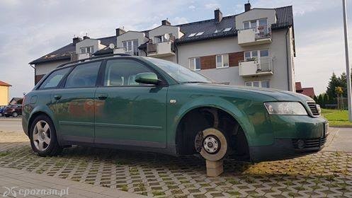 fot. Rokietnica wokół nas / Facebook