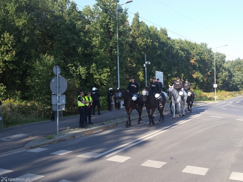 fot. Policja