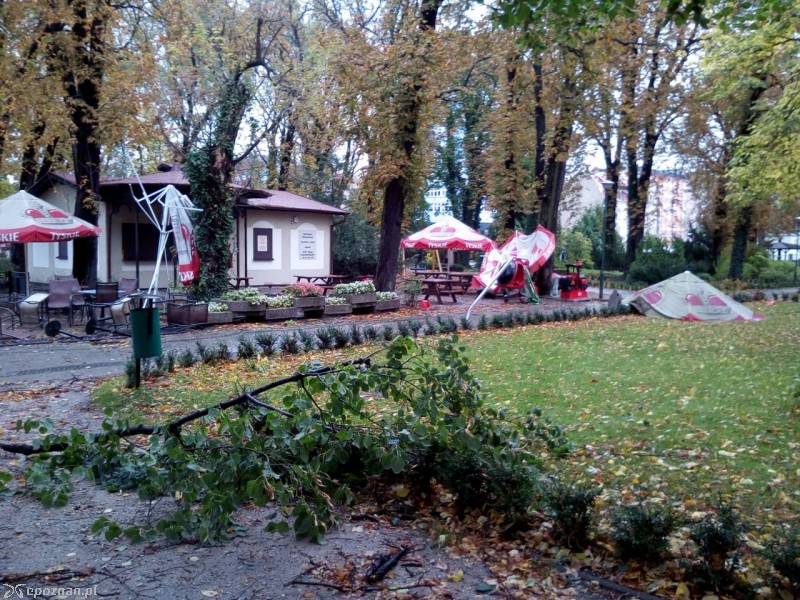 fot. Stare ZOO