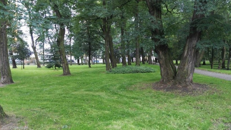 fot. Osiedle Zielony Dębiec