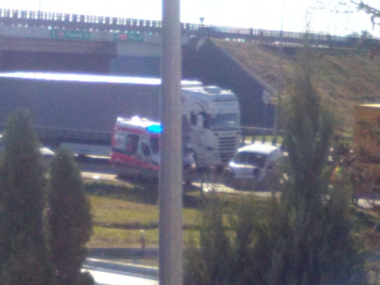 fot. Rafał