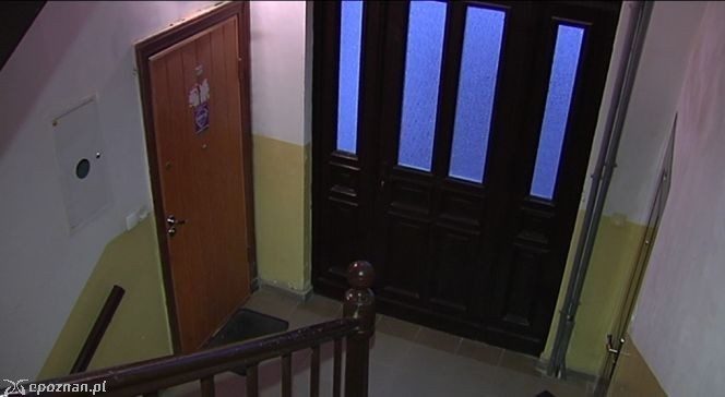 W tym mieszkaniu trzymano kilkadziesiąt kotów