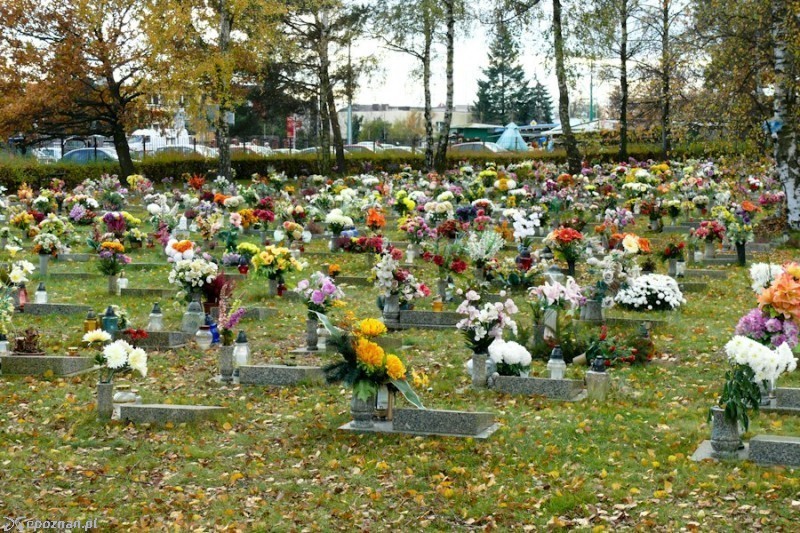 fot. Elżbieta Skowron