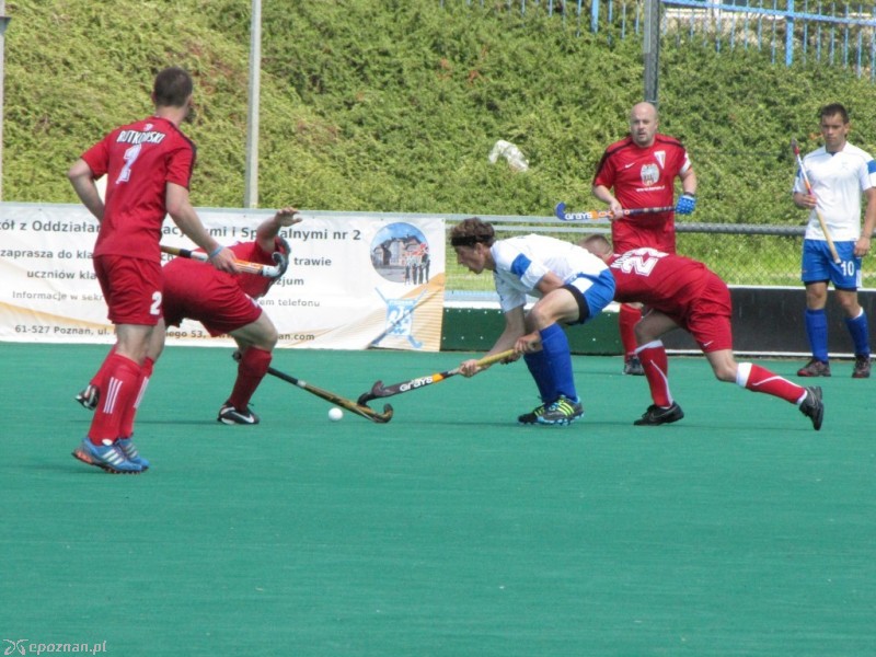 KS AZS AWF Poznań - KS Pomorzanin Toruń 3:2 | fot. Marek Janaszak