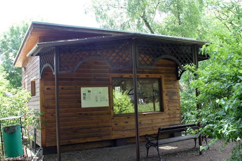 fot. Elżbieta Skowron