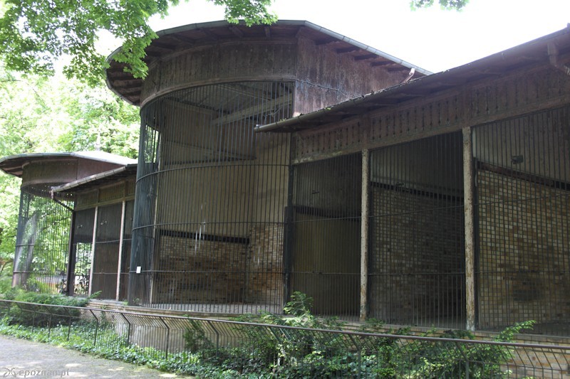 fot. Elżbieta Skowron
