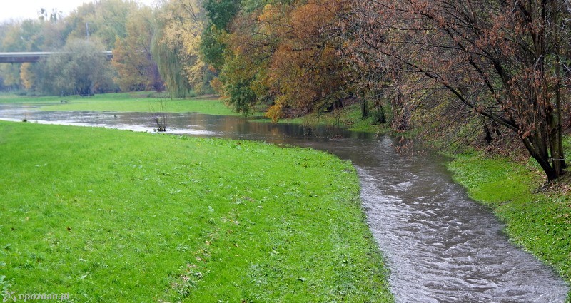 fot. Włodzimierz  Hoppel