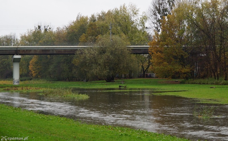 fot. Włodzimierz  Hoppel