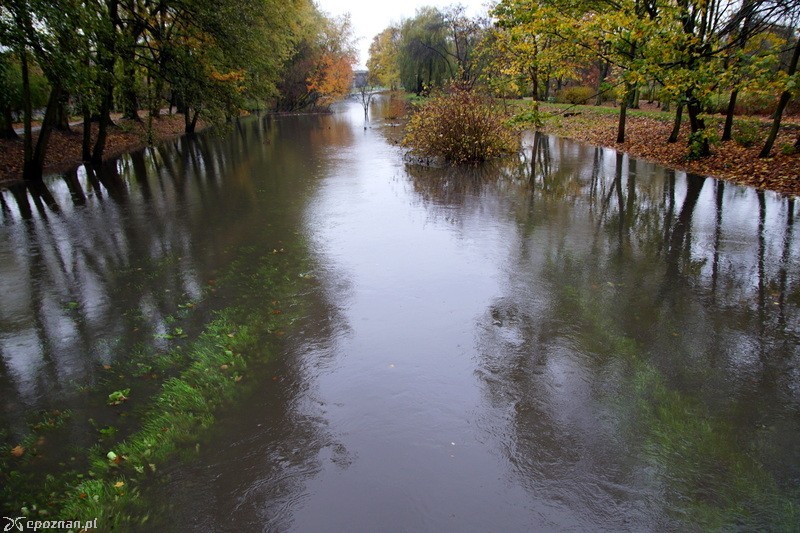 fot. Włodzimierz  Hoppel