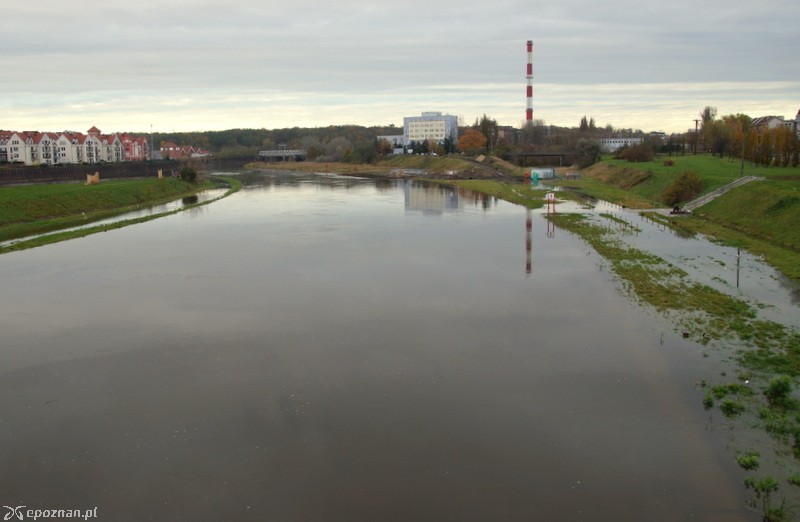 fot. Włodzimierz Hoppel
