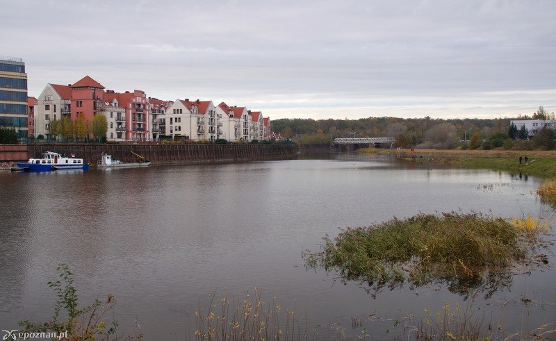 fot. Włodzimierz  Hoppel