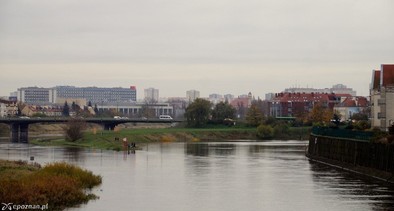 fot. Włodzimierz  Hoppel