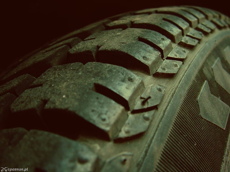 fot. A. Carlos Herrera/freeimages.com