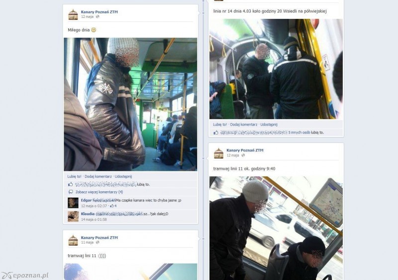 fot. Facebook Kanary Poznań ZTM