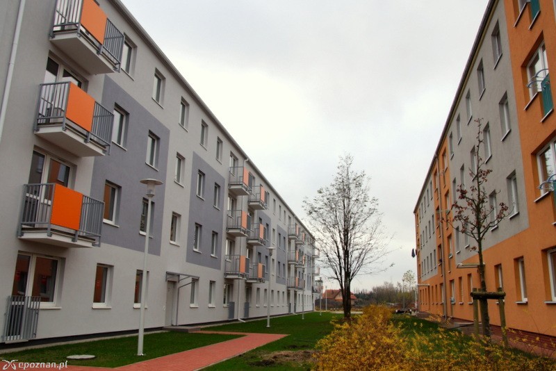 fot. Włodzimierz Hoppel