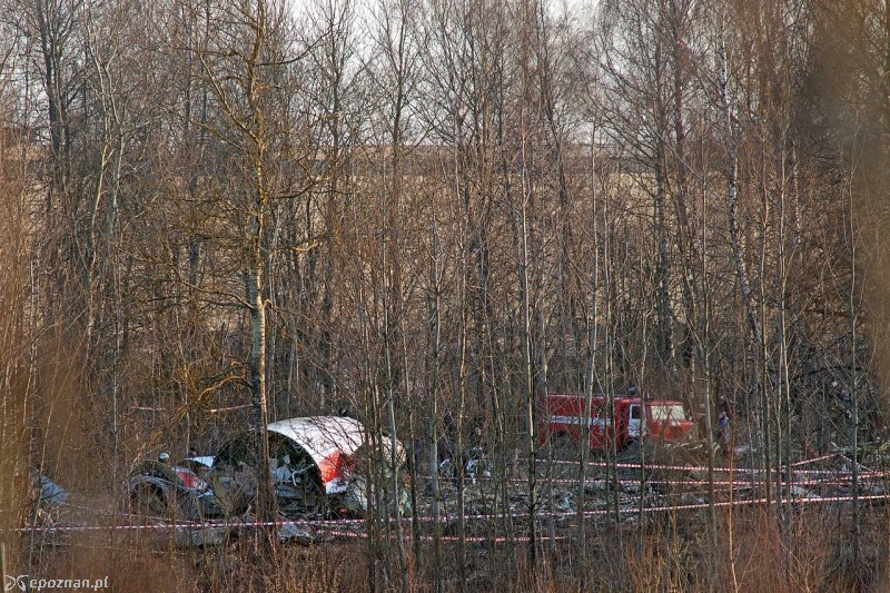 fot. Serge Serebro, Vitebsk Popular News/wikimedia/CC BY-SA 3.0