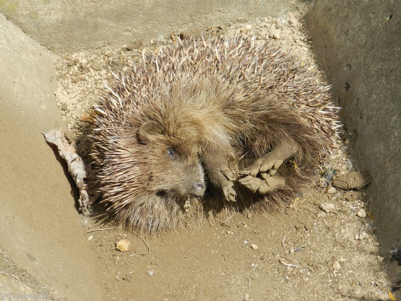 fot. Marek Mąkowski