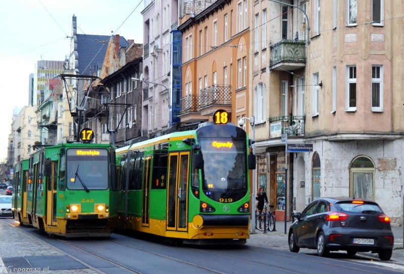 fot. Włodzimierz  Hoppel