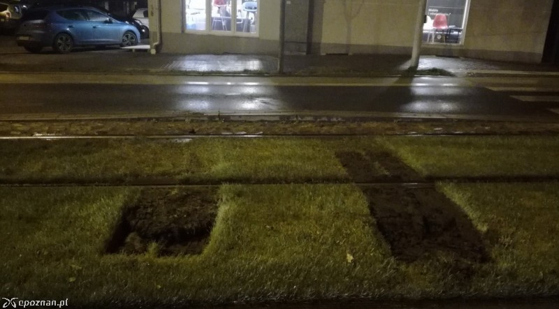 fot. Straż miejska