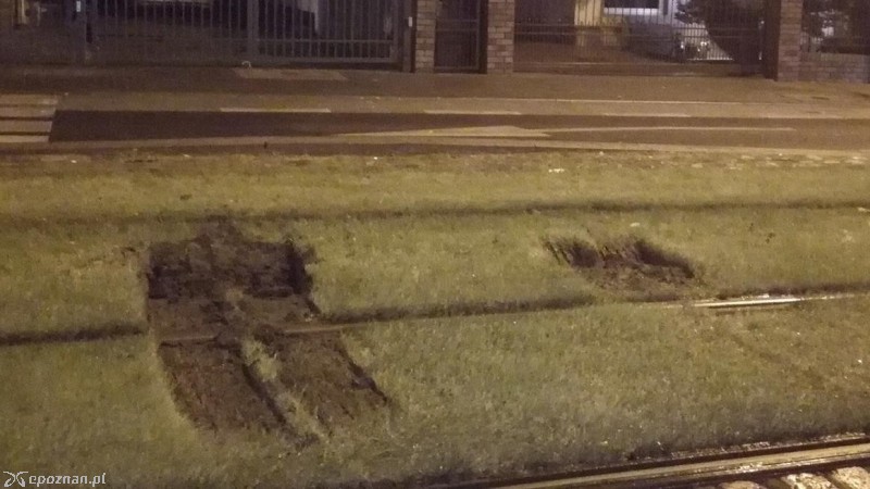 fot. Straż miejska