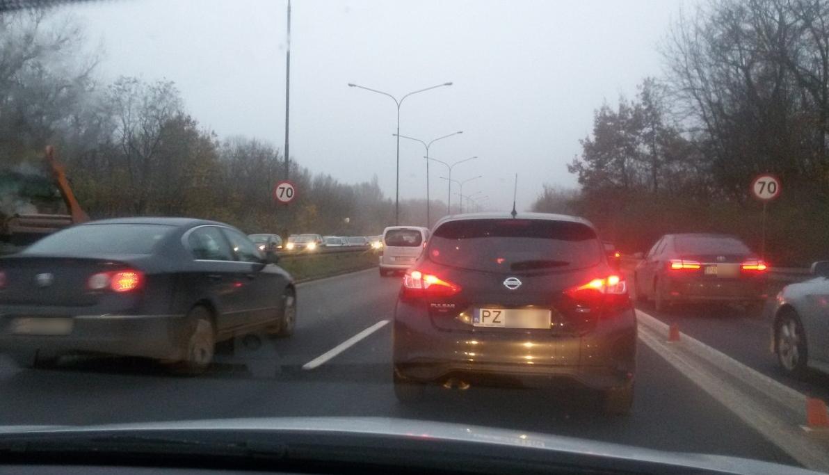 fot. Dariusz