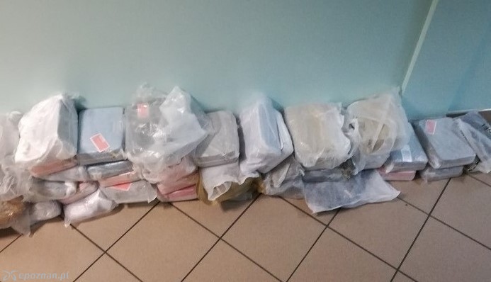 fot. Policja