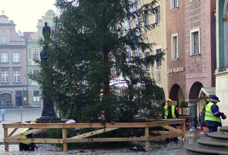 fot. Włodzimierz Hoppel