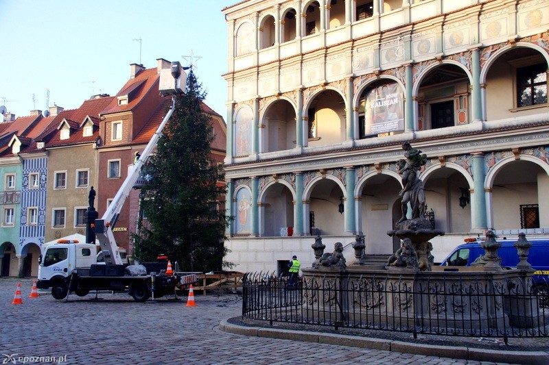 fot. Włodzimierz Hoppel