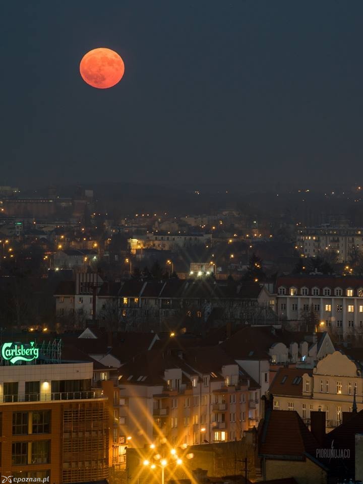 fot. Leszek Bartczak / Piotrunująco Facebook