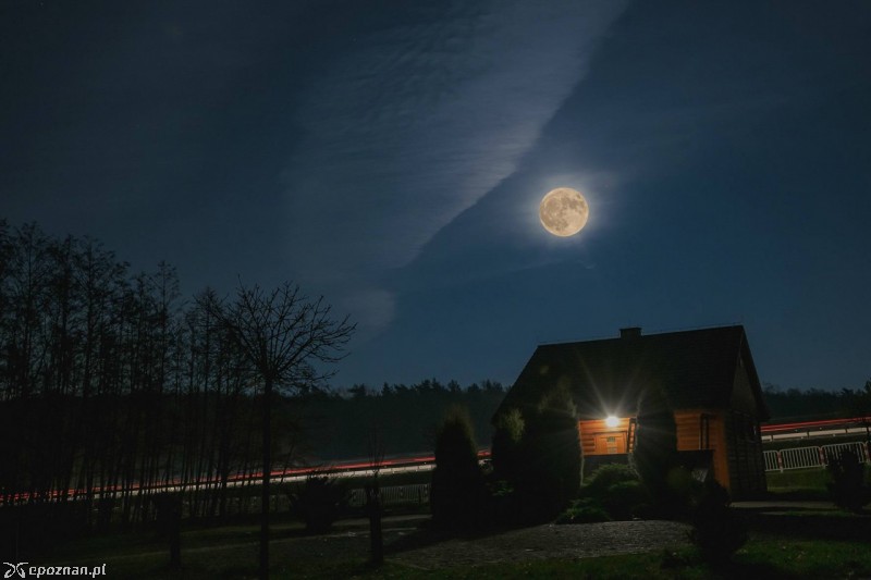 Łysy Młyn Biedrusko | fot. Maciej Swarcewicz