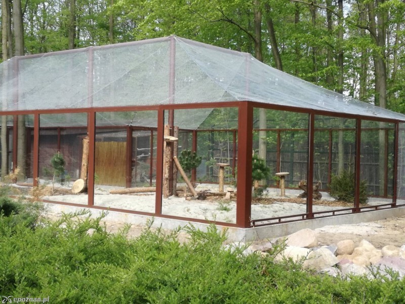 fot. ZOO Poznań Official