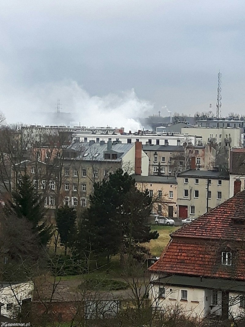 fot. czytelnik