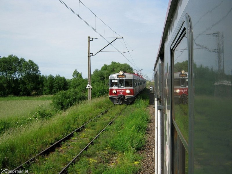 fot. Lichen99/wikimedia/CC BY-SA 3.0