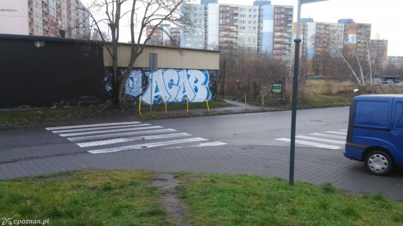 fot. Andrzej