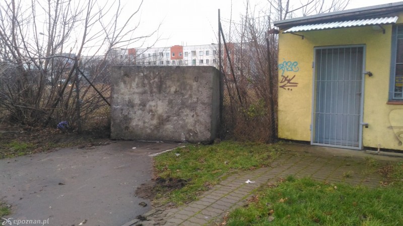 fot. Andrzej