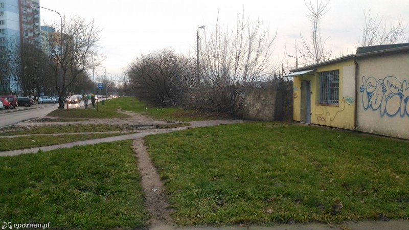 fot. Andrzej